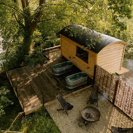 Oystercatcher Riverdale *