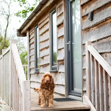 Oystercatcher Riverdale Dağ evi